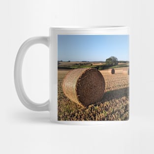 Round bales in evening light Mug